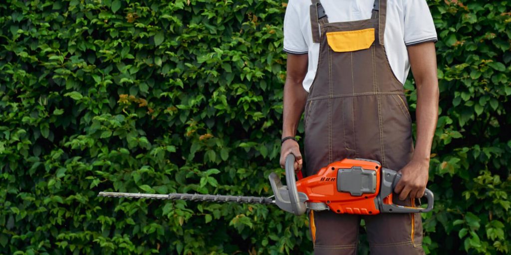 Tree Removal Vs. Pruning: Understanding The Best Solutions For Your Tree Care Needs